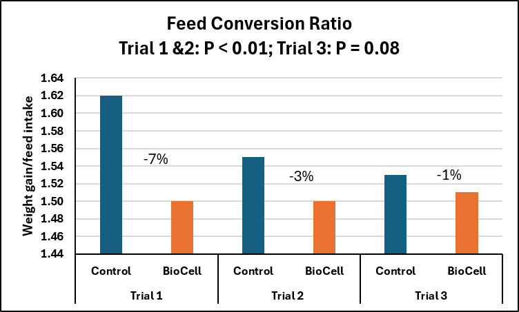 Table 2 Feed conversion ratio of calves from 3 to 12 weeks of age with or without BioCell&reg; supplementation