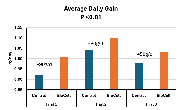 Table 1 Average daily gain of calves from 3 to 12 weeks of age with or without BioCell&reg; supplementation
