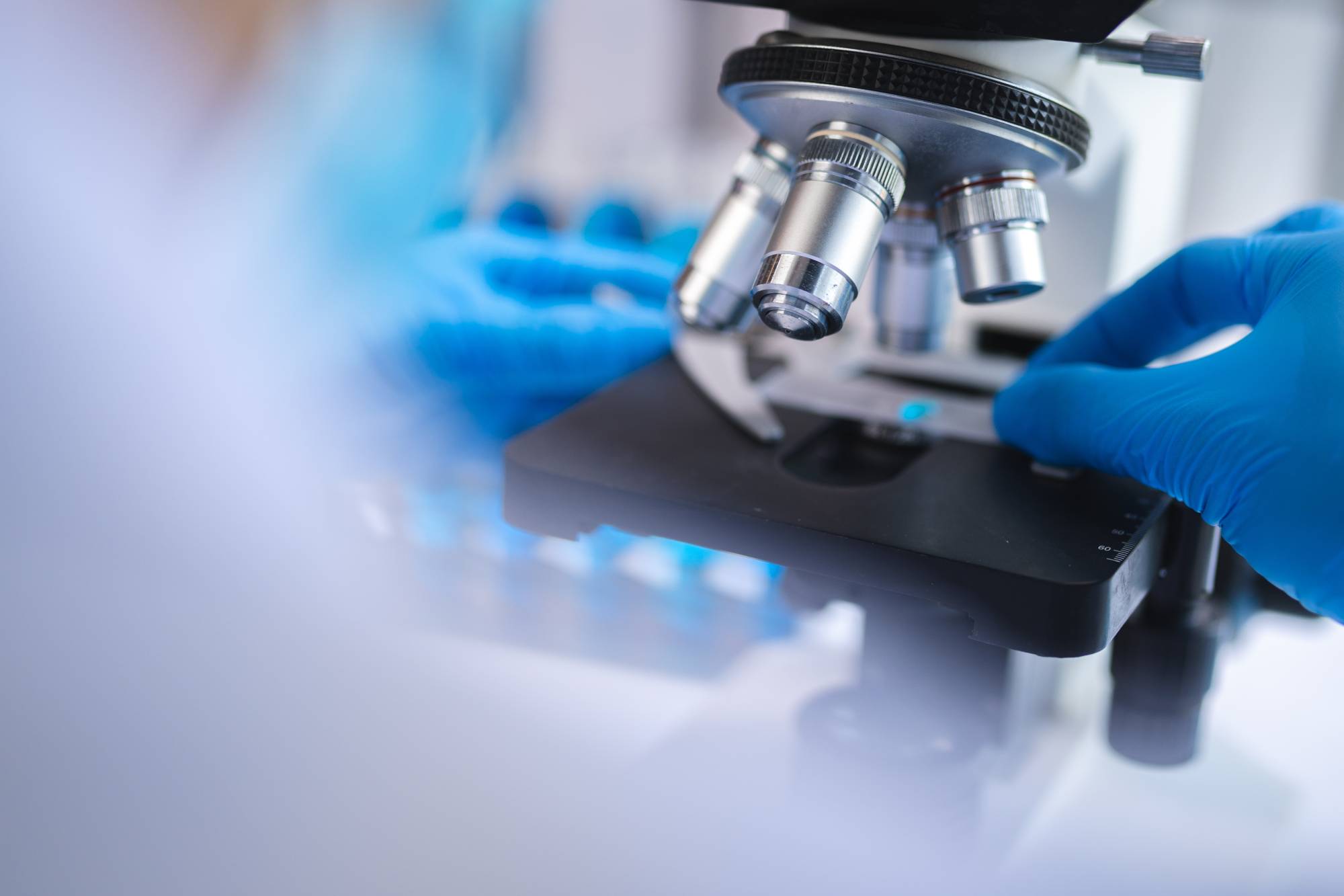 AdobeStock_539651472