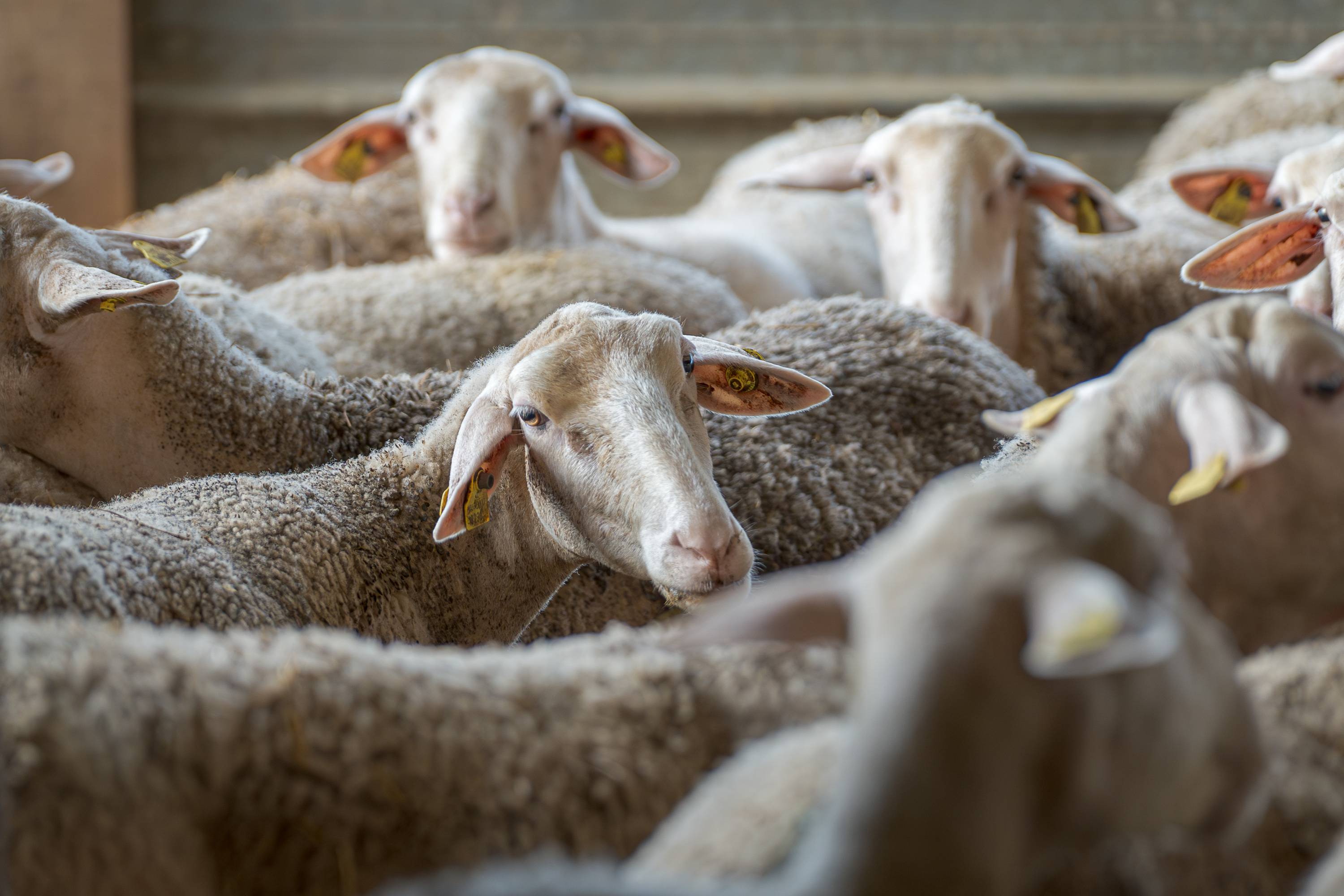 CRE03680-Migliorato-NR