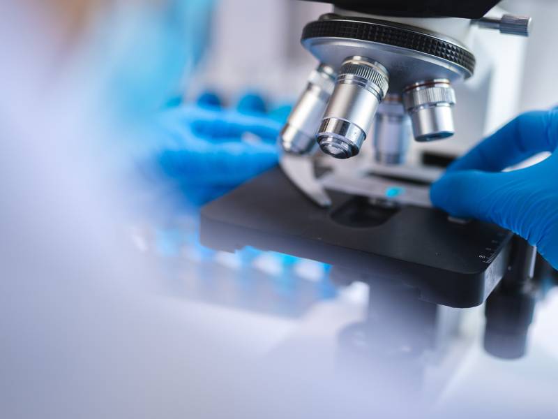 Mazzoleni-news-TEMP-02